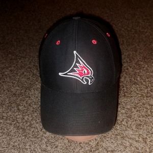 Nike UW-River Falls Falcons Embroidered Black Red Fitted Hat OS